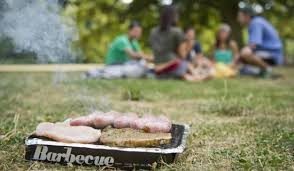 Grillen 28.6., Gruppenevent, Ricklinger Kiesteiche, Niedersachsen