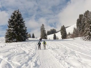 Schneeschuhwanderung 2016, Freizeit, Altensteig, Baden-Württemberg