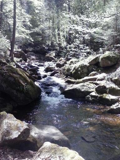 Wandern im Ilsetal - Freizeit - Ilsenburg, Harz - Wandern und/oder Klettern