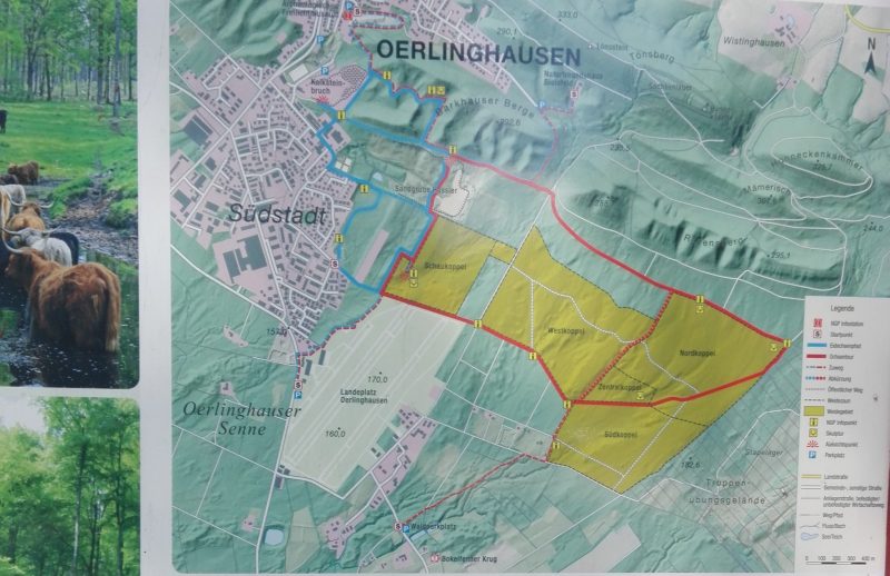 Spaziertreff Oerlinghausen 30-50j. - Mitgliedertreffen - Oerlinghausen